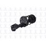 FCS Struts 2331661L Suspension Strut and Coil Spring Assembly