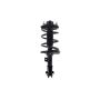 FCS Struts 2331661R Suspension Strut and Coil Spring Assembly
