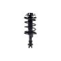 FCS Struts 2331663L Suspension Strut and Coil Spring Assembly
