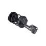 FCS Struts 2331663L Suspension Strut and Coil Spring Assembly
