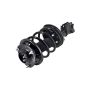 FCS Struts 2331663R Suspension Strut and Coil Spring Assembly