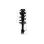 FCS Struts 2331761L Suspension Strut and Coil Spring Assembly