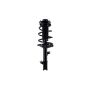 FCS Struts 2331782L Suspension Strut and Coil Spring Assembly