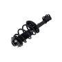 FCS Struts 2331782L Suspension Strut and Coil Spring Assembly