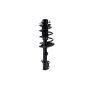 FCS Struts 2331782R Suspension Strut and Coil Spring Assembly