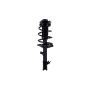 FCS Struts 2331782R Suspension Strut and Coil Spring Assembly