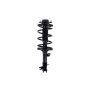 FCS Struts 2331796L Suspension Strut and Coil Spring Assembly