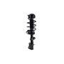 FCS Struts 2331821 Suspension Strut and Coil Spring Assembly