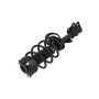 FCS Struts 2331821 Suspension Strut and Coil Spring Assembly