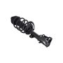 FCS Struts 2331821 Suspension Strut and Coil Spring Assembly