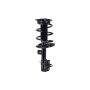 FCS Struts 2331839L Suspension Strut and Coil Spring Assembly
