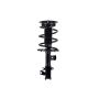 FCS Struts 2331839L Suspension Strut and Coil Spring Assembly