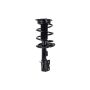 FCS Struts 2331839R Suspension Strut and Coil Spring Assembly