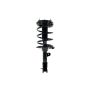 FCS Struts 2331908L Suspension Strut and Coil Spring Assembly