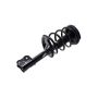 FCS Struts 2331908L Suspension Strut and Coil Spring Assembly