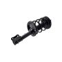 FCS Struts 2331908R Suspension Strut and Coil Spring Assembly