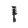 FCS Struts 2331931 Suspension Strut and Coil Spring Assembly