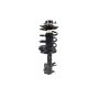 FCS Struts 2332350L Suspension Strut and Coil Spring Assembly