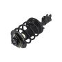 FCS Struts 2332350R Suspension Strut and Coil Spring Assembly