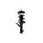 FCS Struts 2332357R Suspension Strut and Coil Spring Assembly