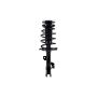 FCS Struts 2332367R Suspension Strut and Coil Spring Assembly