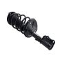 FCS Struts 2332368L Suspension Strut and Coil Spring Assembly