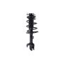 FCS Struts 2333313L Suspension Strut and Coil Spring Assembly