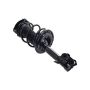 FCS Struts 2333313L Suspension Strut and Coil Spring Assembly