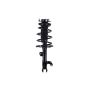 FCS Struts 2333313R Suspension Strut and Coil Spring Assembly
