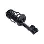 FCS Struts 2333313R Suspension Strut and Coil Spring Assembly