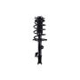 FCS Struts 2333319L Suspension Strut and Coil Spring Assembly