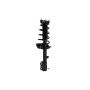 FCS Struts 2333320R Suspension Strut and Coil Spring Assembly