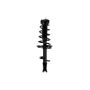 FCS Struts 2333320R Suspension Strut and Coil Spring Assembly