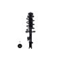 FCS Struts 2333332L Suspension Strut and Coil Spring Assembly