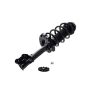 FCS Struts 2333332L Suspension Strut and Coil Spring Assembly