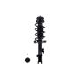 FCS Struts 2333332R Suspension Strut and Coil Spring Assembly
