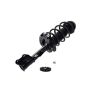 FCS Struts 2333332R Suspension Strut and Coil Spring Assembly
