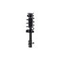 FCS Struts 2333363L Suspension Strut and Coil Spring Assembly