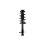 FCS Struts 2333363L Suspension Strut and Coil Spring Assembly