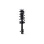 FCS Struts 2333363R Suspension Strut and Coil Spring Assembly