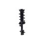 FCS Struts 2333365L Suspension Strut and Coil Spring Assembly
