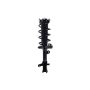 FCS Struts 2333365L Suspension Strut and Coil Spring Assembly
