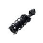 FCS Struts 2333365R Suspension Strut and Coil Spring Assembly