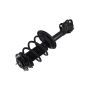 FCS Struts 2333375L Suspension Strut and Coil Spring Assembly