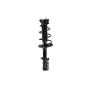 FCS Struts 2333376L Suspension Strut and Coil Spring Assembly
