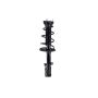 FCS Struts 2333376R Suspension Strut and Coil Spring Assembly