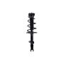FCS Struts 2333376R Suspension Strut and Coil Spring Assembly