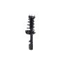 FCS Struts 2333378L Suspension Strut and Coil Spring Assembly