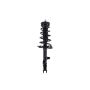 FCS Struts 2333378L Suspension Strut and Coil Spring Assembly