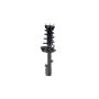 FCS Struts 2333378R Suspension Strut and Coil Spring Assembly